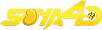 SOYA4D Logo